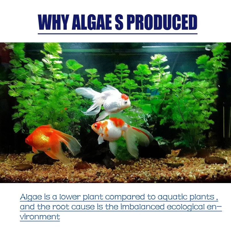 50g High Efficiency Algaecide  - Water Soluble Stabilizer avaliação e preço