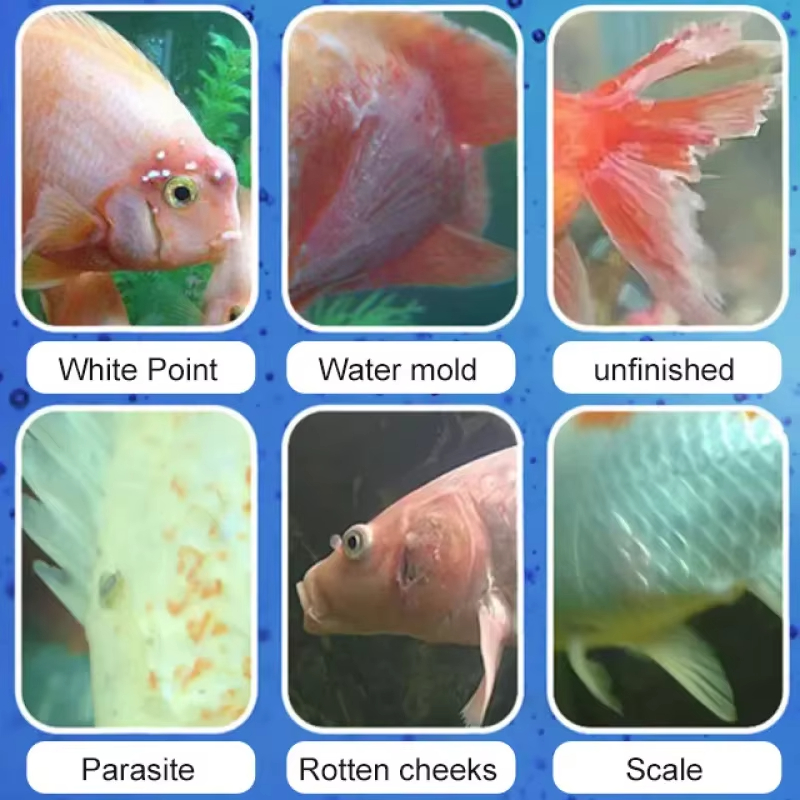 SIKEZHAN Fish Disease Treatmen - Water Soluble Stabilizer avaliação e preço